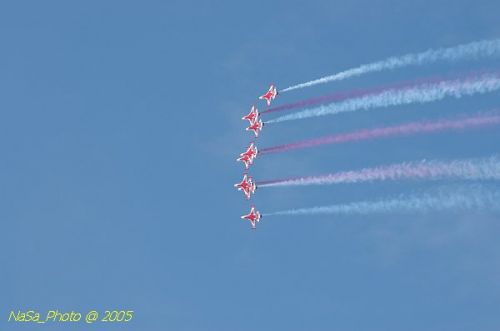 DSC_1268.JPG