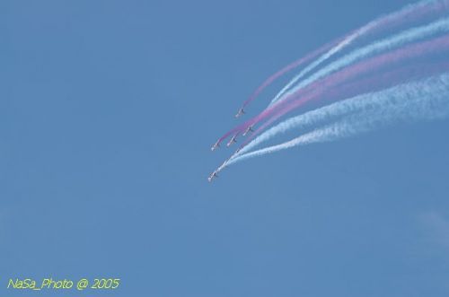 DSC_1270.JPG