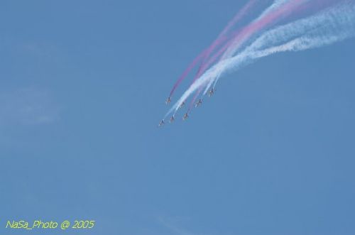 DSC_1271.JPG