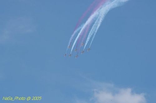DSC_1272.JPG