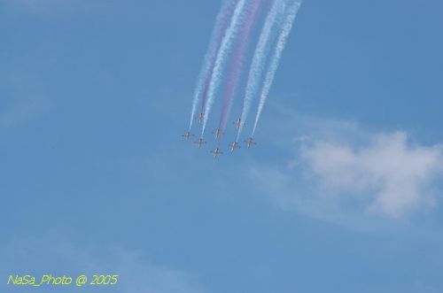 DSC_1273.JPG
