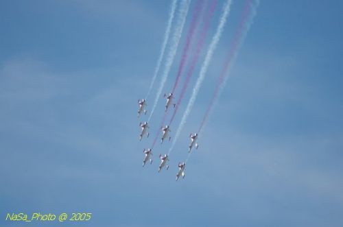 DSC_1274.JPG