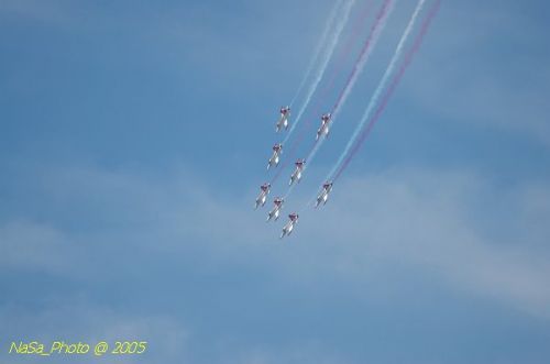 DSC_1275.JPG