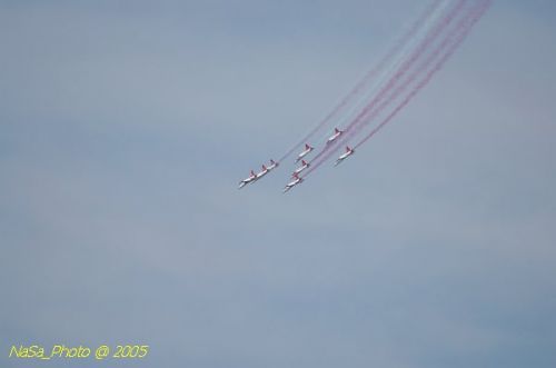 DSC_1277.JPG