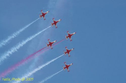 DSC_1288.JPG