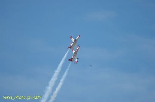 DSC_1290.JPG