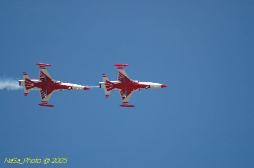 DSC_1294.JPG