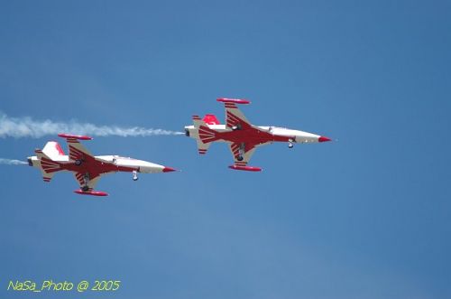 DSC_1295.JPG