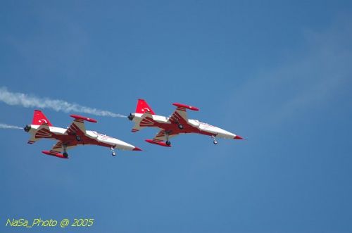 DSC_1298.JPG