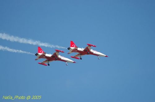 DSC_1299.JPG