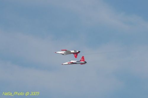 DSC_1302.JPG
