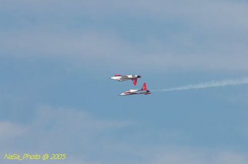DSC_1303.JPG