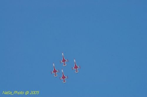 DSC_1305.JPG