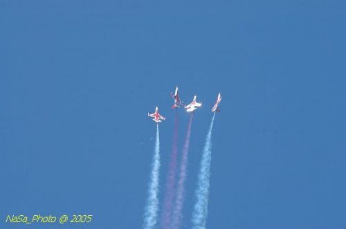 DSC_1308.JPG