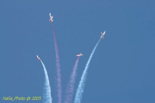 DSC_1309.JPG
