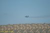 DSC_0861.JPG