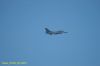 DSC_0868.JPG