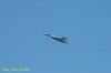 DSC_0979.JPG