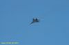 DSC_1004.JPG