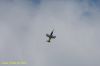 DSC_1051.JPG