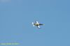 DSC_1052.JPG