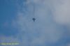 DSC_1077.JPG