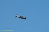 DSC_1162.JPG