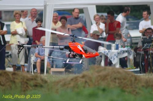 DSC_3105.JPG