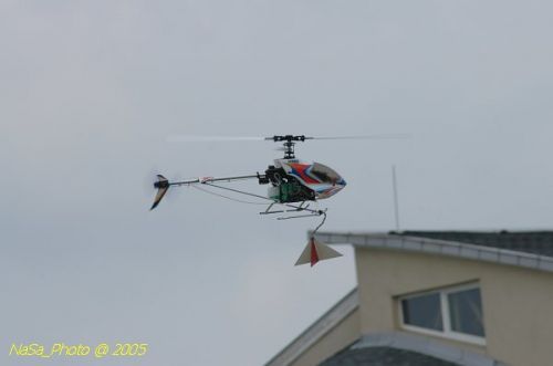 DSC_3140.JPG