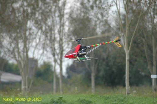 DSC_3146.JPG