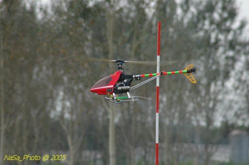 DSC_3155.JPG