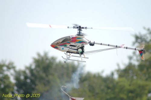 DSC_3219.JPG