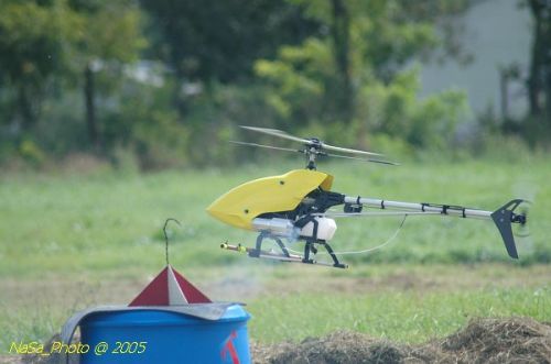 DSC_3224.JPG