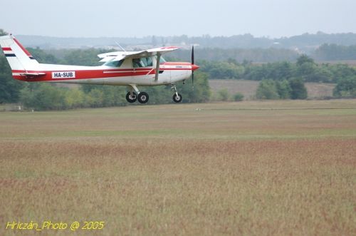 DSC_3153.JPG