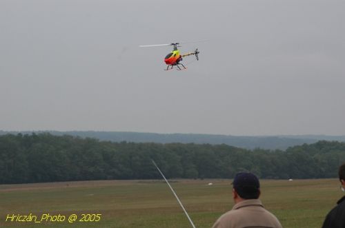 DSC_3177.JPG
