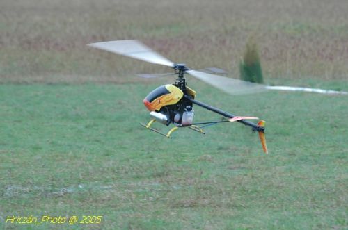 DSC_3212.JPG