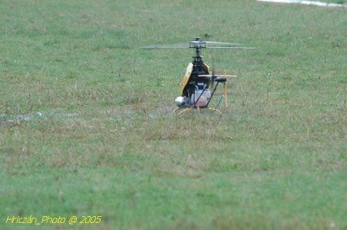 DSC_3219.JPG