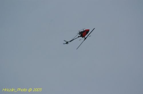 DSC_3228.JPG