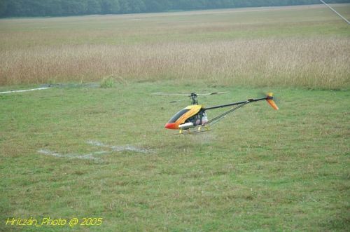 DSC_3246.JPG
