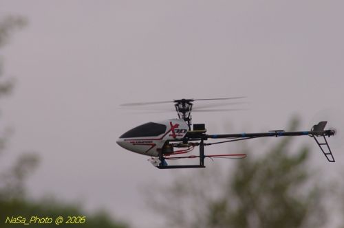 DSC_6607.jpg