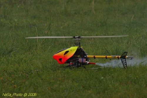DSC_6615.jpg