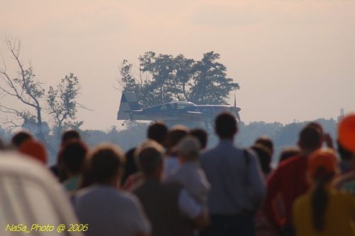 DSC_7031.jpg