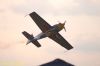 DSC_7038.jpg