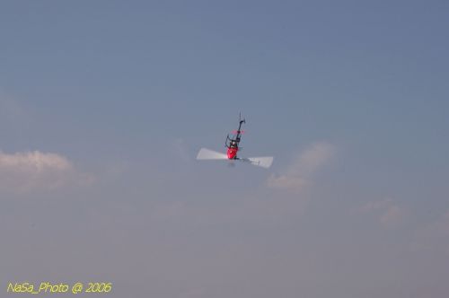 DSC_8441.jpg