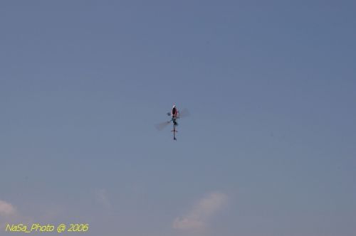 DSC_8443.jpg