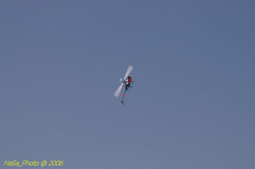 DSC_8445.jpg