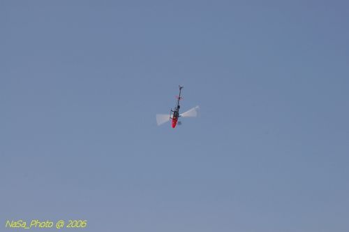 DSC_8446.jpg