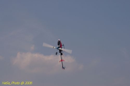 DSC_8449.jpg