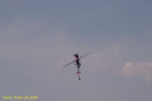 DSC_8455.jpg