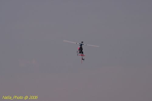 DSC_8458.jpg